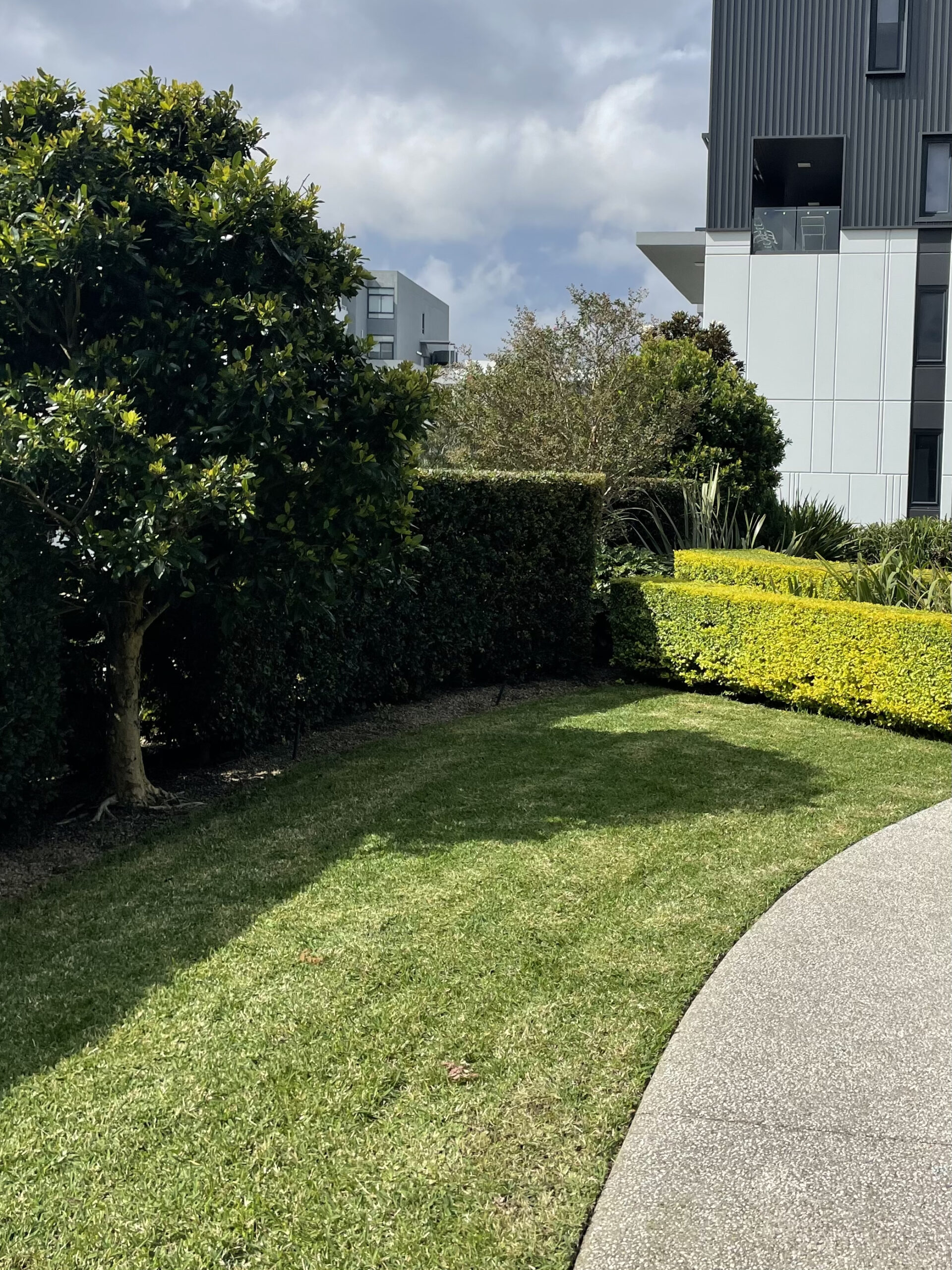 Meriton property and garden maintenance